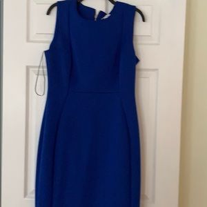 Calvin Klein blue dress